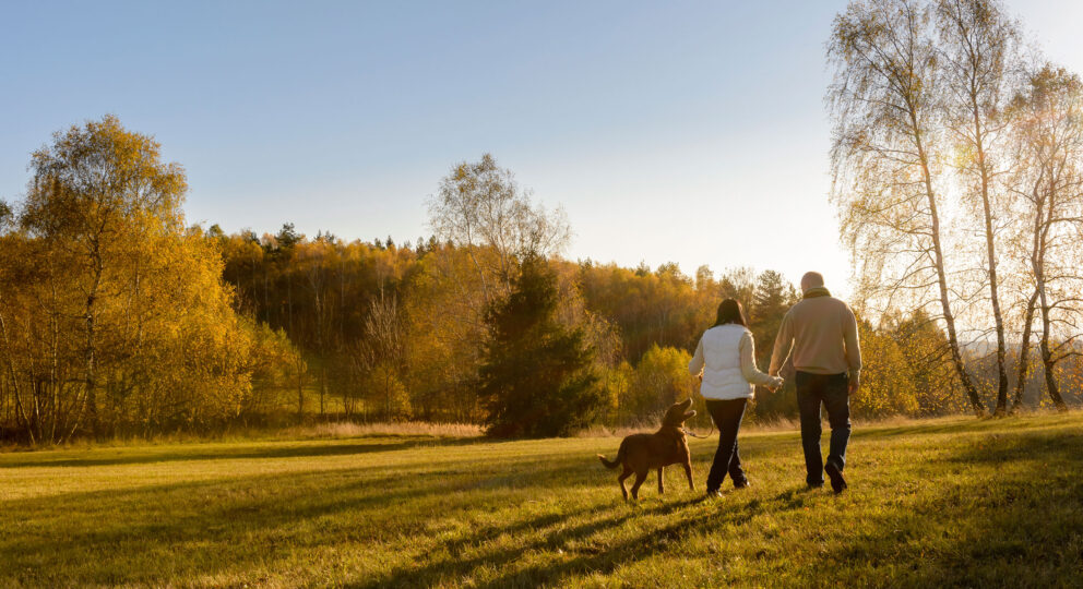 Image of couple walking together, holding hands on a sunny, fall day.